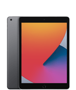 iPad (8. Generation)