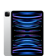 11" iPad Pro (4. Generation)