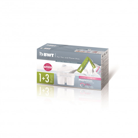 BWT WF8366 Filter patrona 1+3 814544