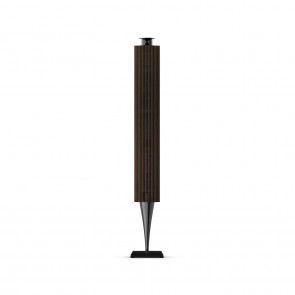Bang & Olufsen Beolab 18 Poklopac Tamni