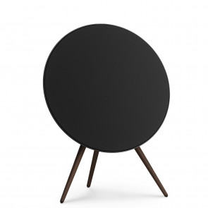 Bang & Olufsen Beosound A9 5. generacije