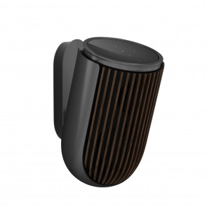 Bang & Olufsen Beolab 8 Antracit B B