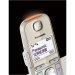 Panasonic KX-TGE260GN champagner